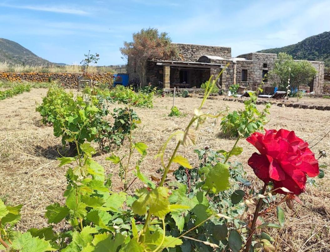 Biodammuso Villa Scauri  Buitenkant foto